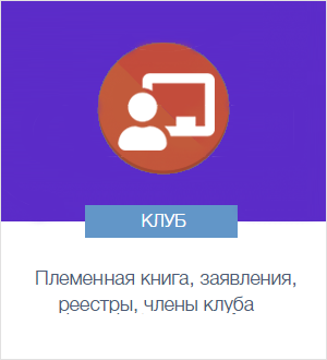 Инструкция для клуба